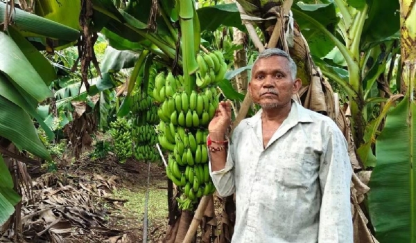પ્રાકૃતિક ખેતી અપનાવનારા ખેડૂત