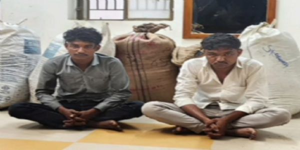 પાટણ SOG શાખાએ સાંતલપુરના સિધાડા ગામેથી જીરાની ચોરી કરતી ગેંગના 2 સભ્યો ઝડપ્યા