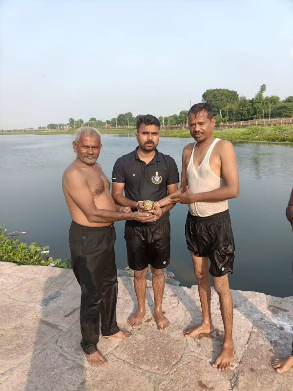 મુગટ શોધી કાઢવામાં આવ્યો
