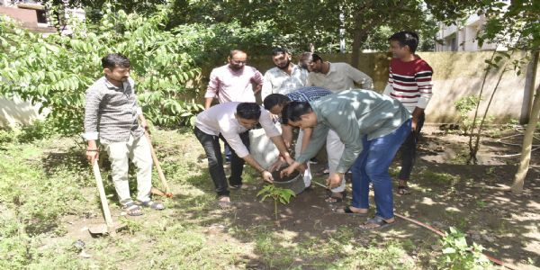 જૂનાગઢ પ્રાદેશિક માહિતી કચેરી ખાતે ‘સેવા સંકલ્પ અભિયાન’ અંતર્ગત વૃક્ષારોપણ અને સફાઈ ઝુંબેશ યોજાઈ