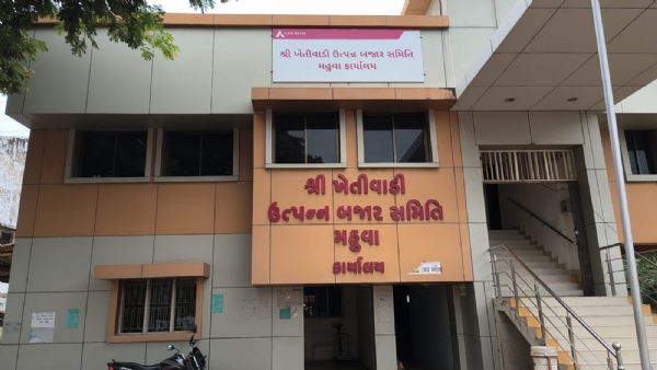 મહુવા માર્કેટિંગ યાર્ડ મહુવા માર્કેટિંગ યાર્ડ