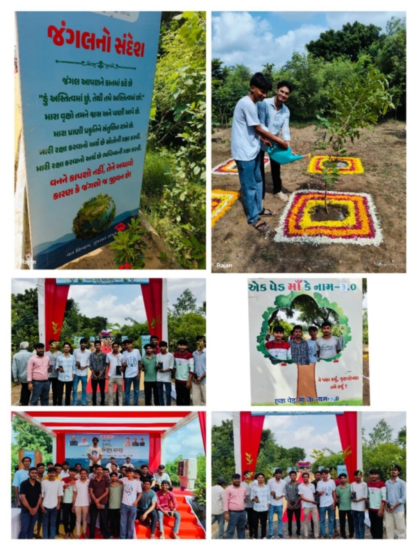 સરદાર ડેરી પાસે વનકવચના ઉદ્ઘાટન પ્રસંગે વિદ્યાર્થીઓએ કર્યું વૃક્ષારોપણ