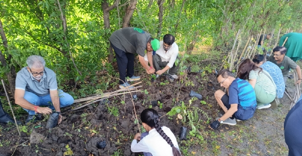 Planting of over 500 trees