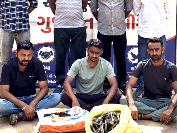 કોપર વાયર ચોરી કેસના આરોપીઓ