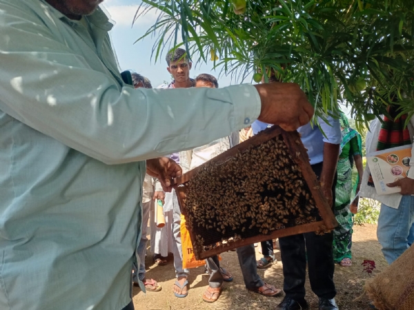 Beekeeping training was organized for farmers at Gadh village under Mission Madhmakhi in Narmada district.