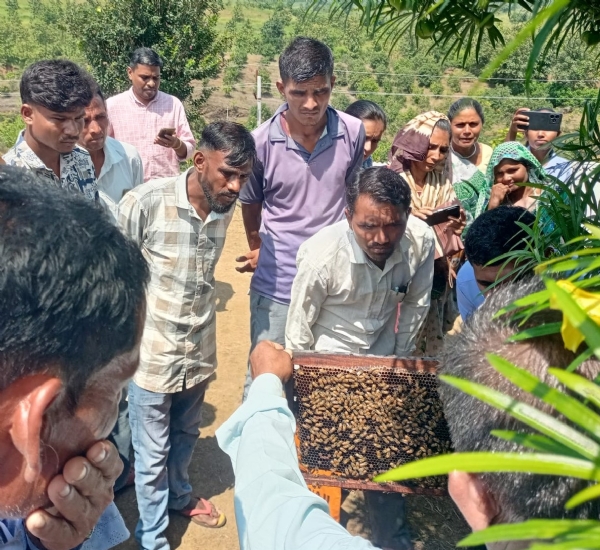 Beekeeping training was organized for farmers at Gadh village under Mission Madhmakhi in Narmada district.