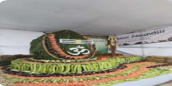 2,000 કિલો શાકભાજીમાંથી 10 ફૂટનું શિવલિંગ; દર્શન બાદ ગૌશાળાની ગાયોને અપાશે અન્ન