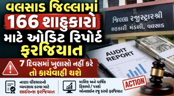 વલસાડના 166 શાહુકારો માટે ઓડિટ ફરજિયાત