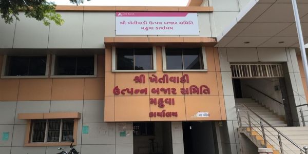 ભાદરવી અમાસે મહુવા માર્કેટિંગ યાર્ડમાં તમામ હરાજી કામગીરી બંધ રહેશે