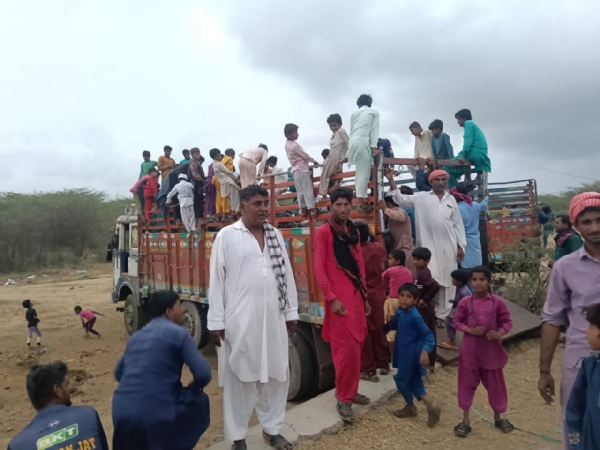 કચ્છના પશુપાલકોની હિજરત